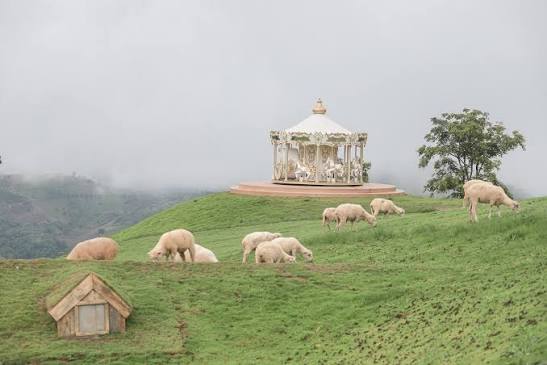 Akha FarmVille Sheep Farm Chiang Rai