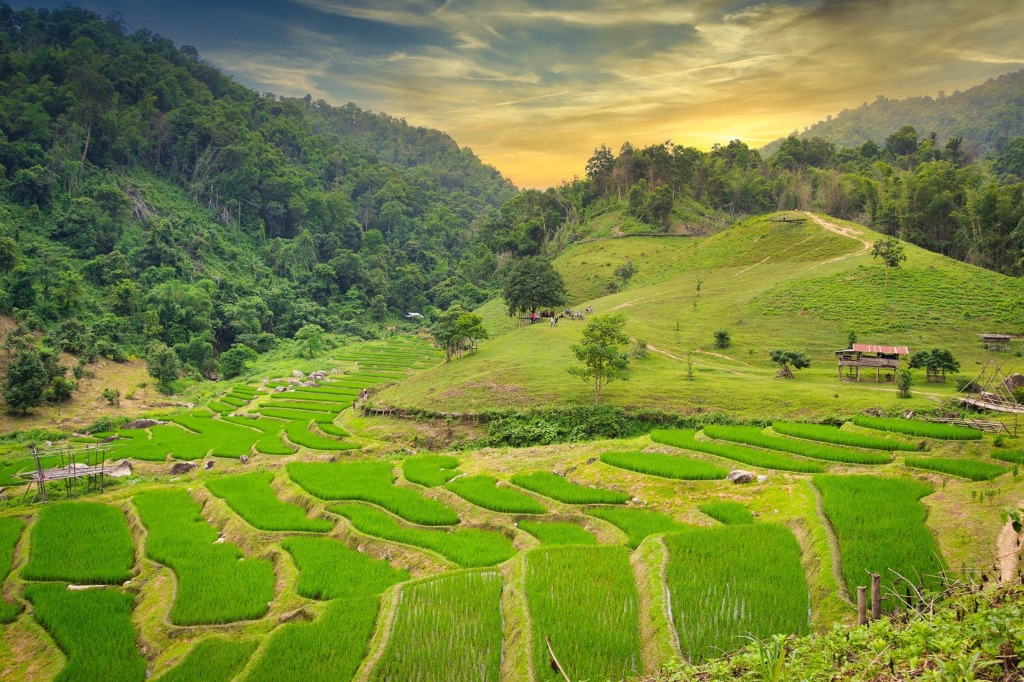 Baan Likhai Rice Terrace Hiking