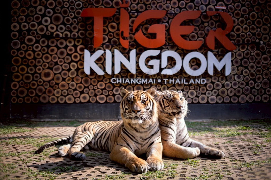 Chiang Mai Nature & Adventure
